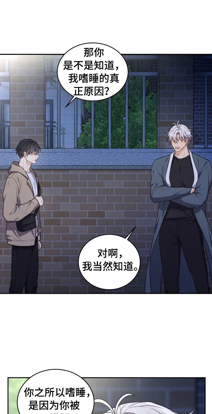 第4章：嗜睡的原因