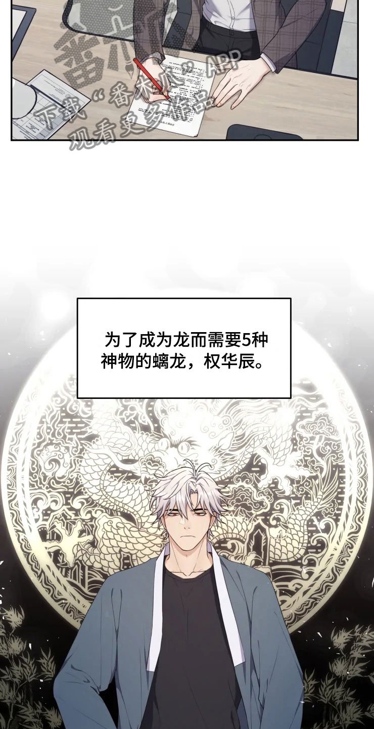 第4章：嗜睡的原因