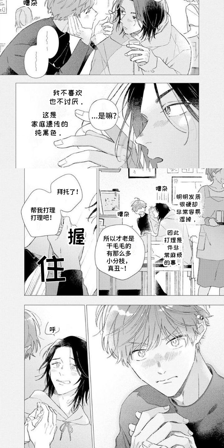 第2章：不会再来