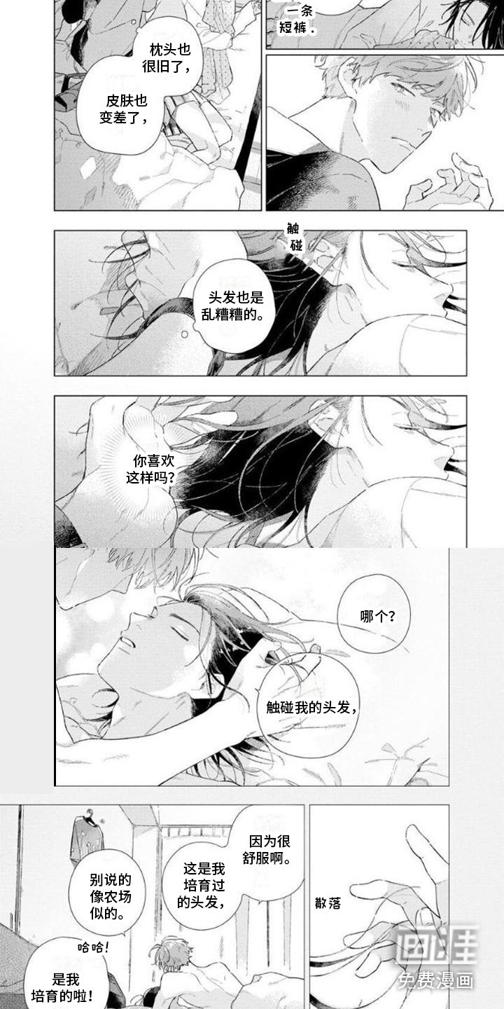 第5章：怀念