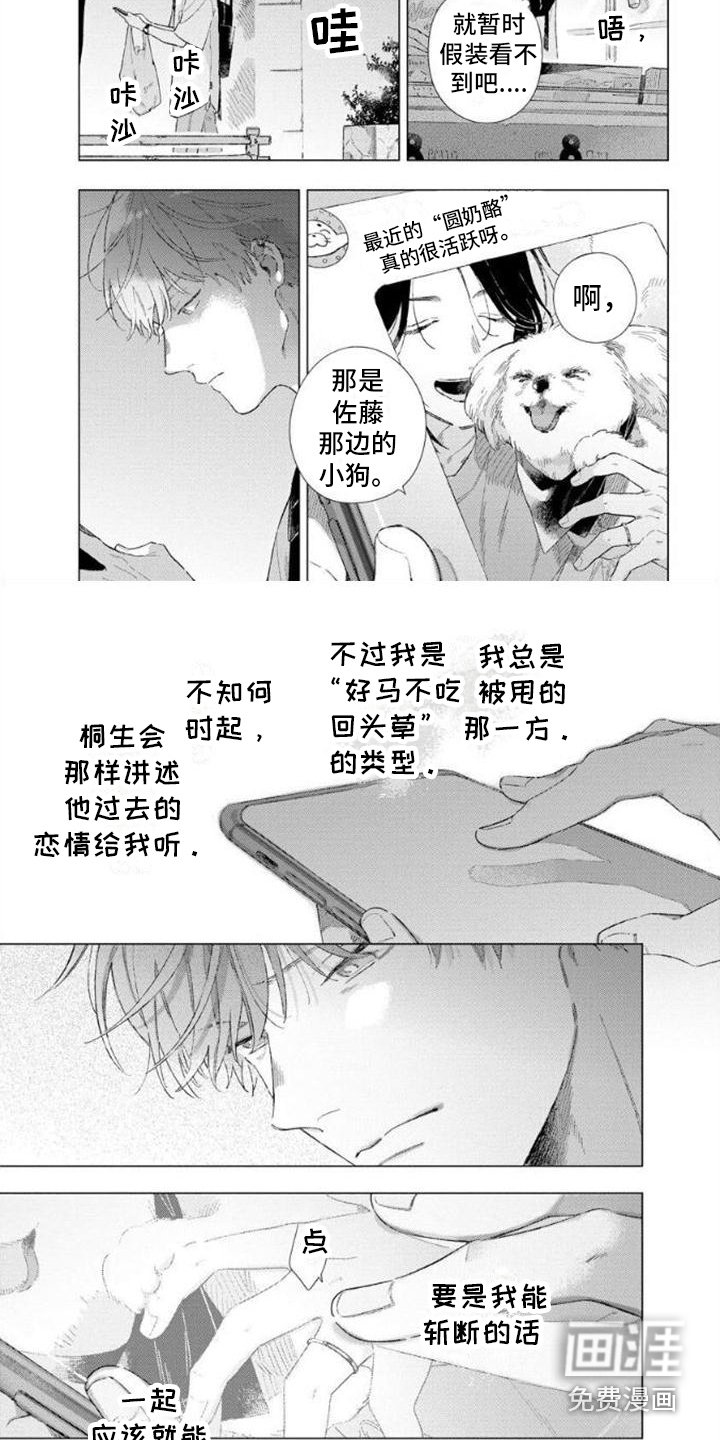 第6章：新作