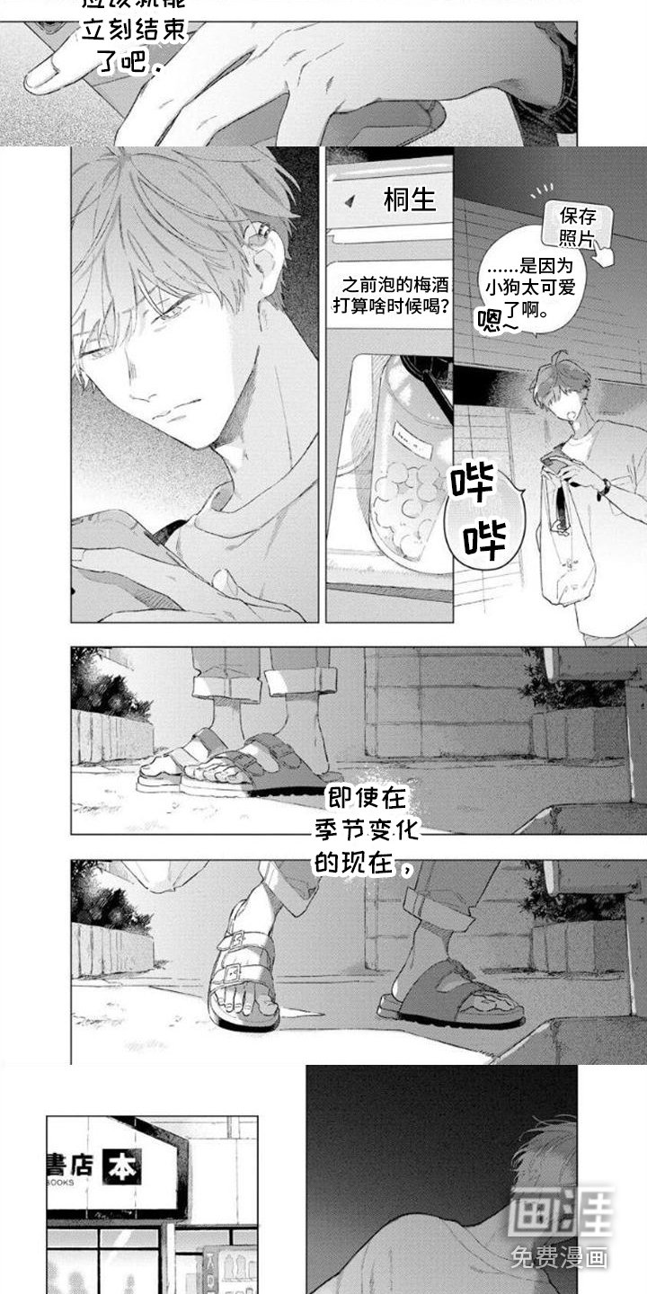 第6章：新作