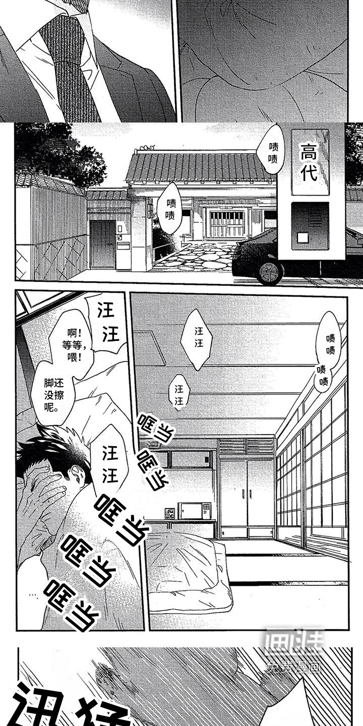 第17章：收养