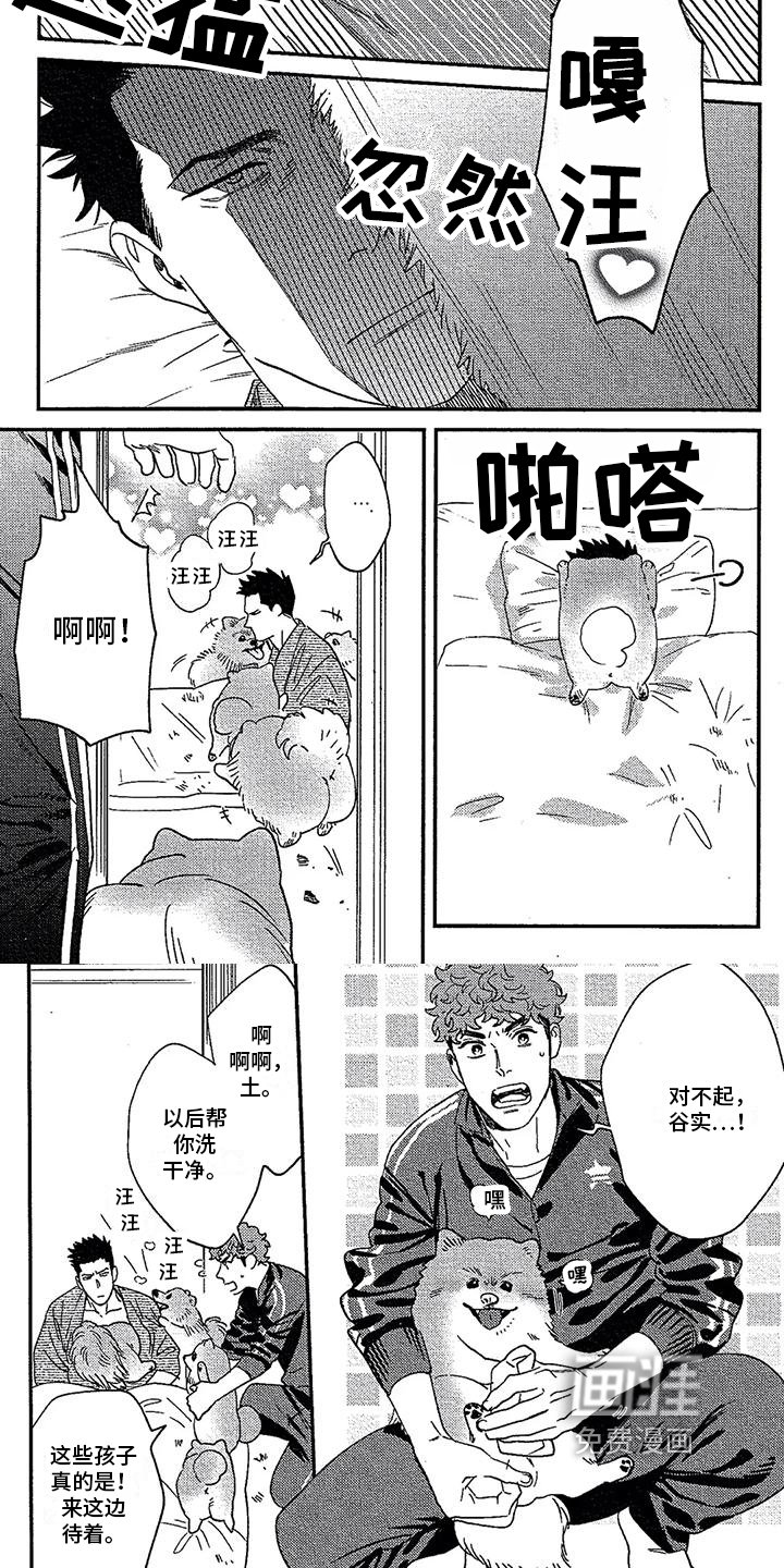 第17章：收养