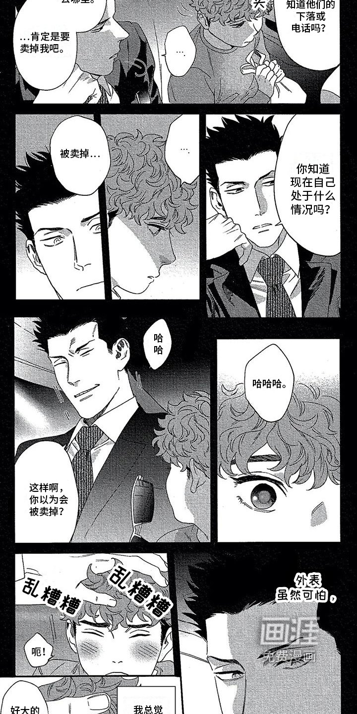 第21章：经历