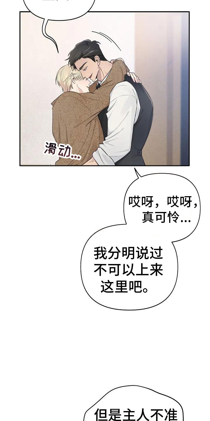 第1章：他的眼神