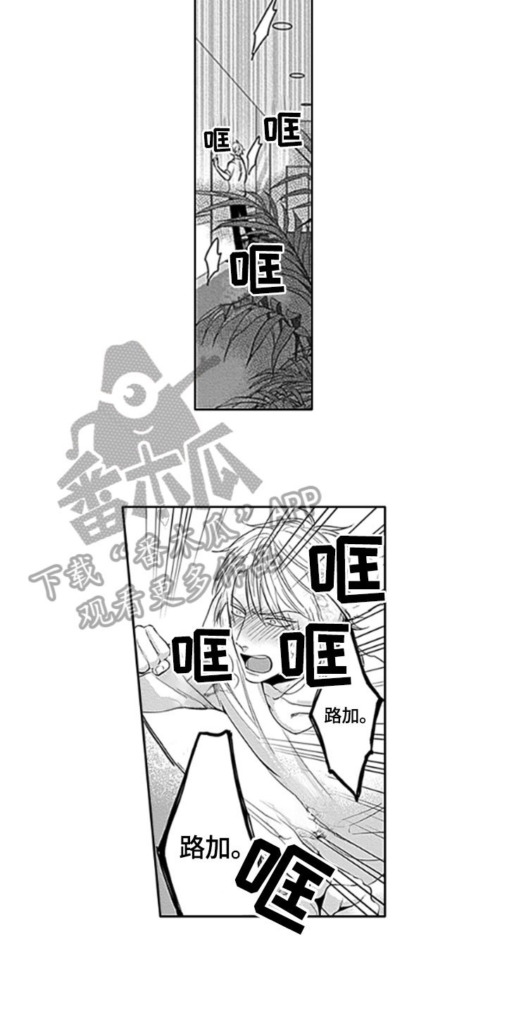第11章：推开
