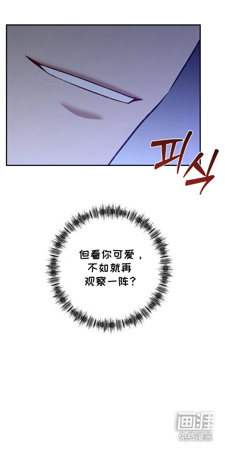 第11章：观察一阵