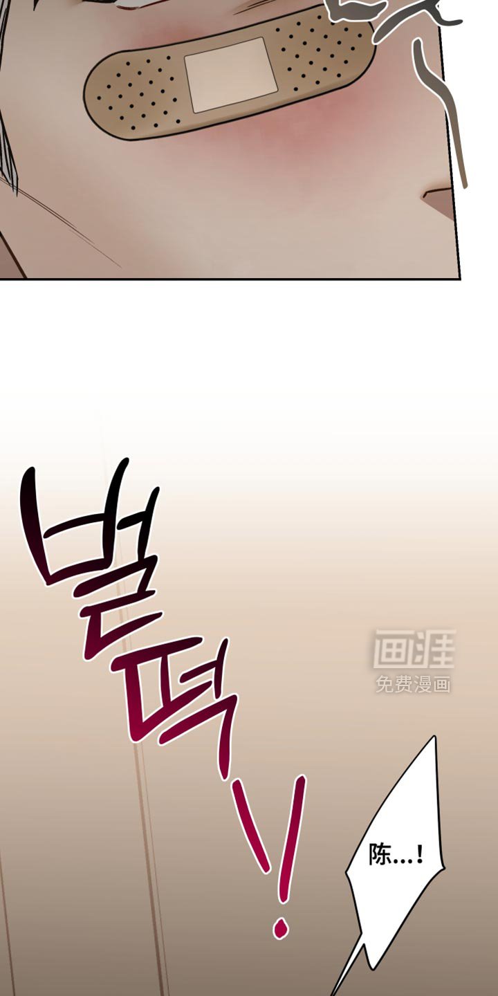 第37章：招蜂引蝶