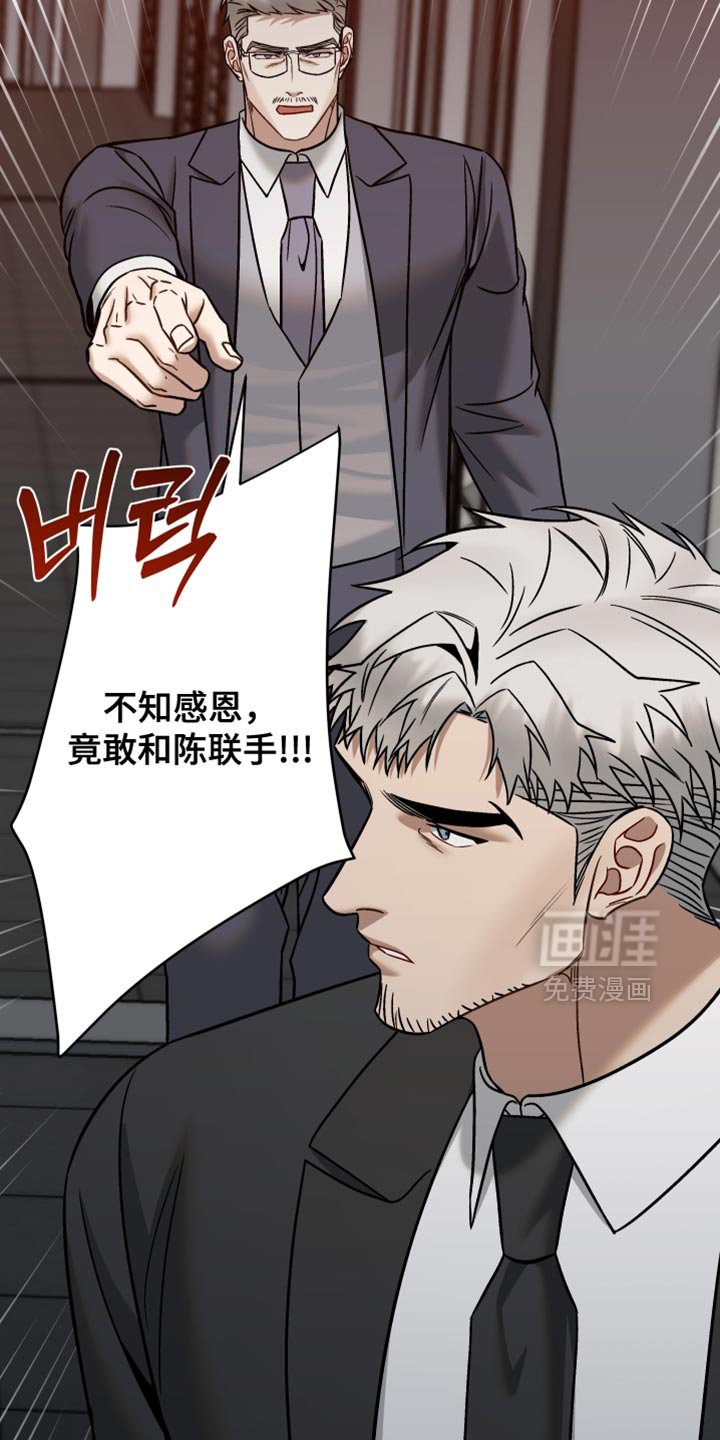 第40章：告白
