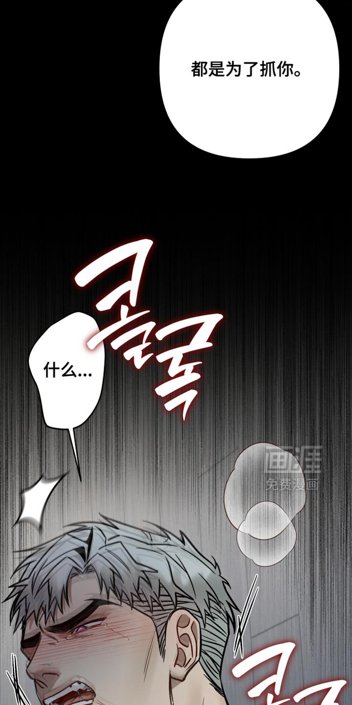 第41章：都是为了抓你