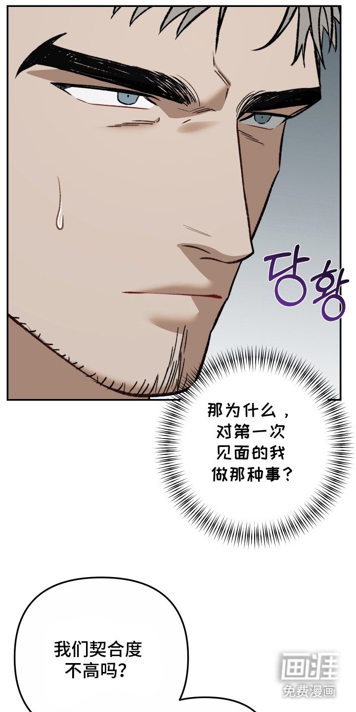 第6章：就这么定了