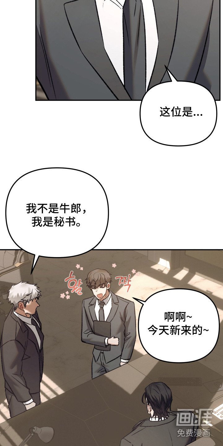 第6章：就这么定了
