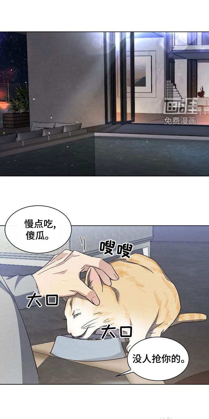 第48章：【第二季】分析