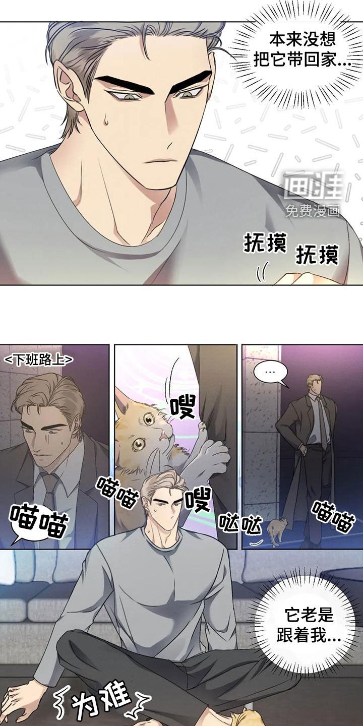 第48章：【第二季】分析