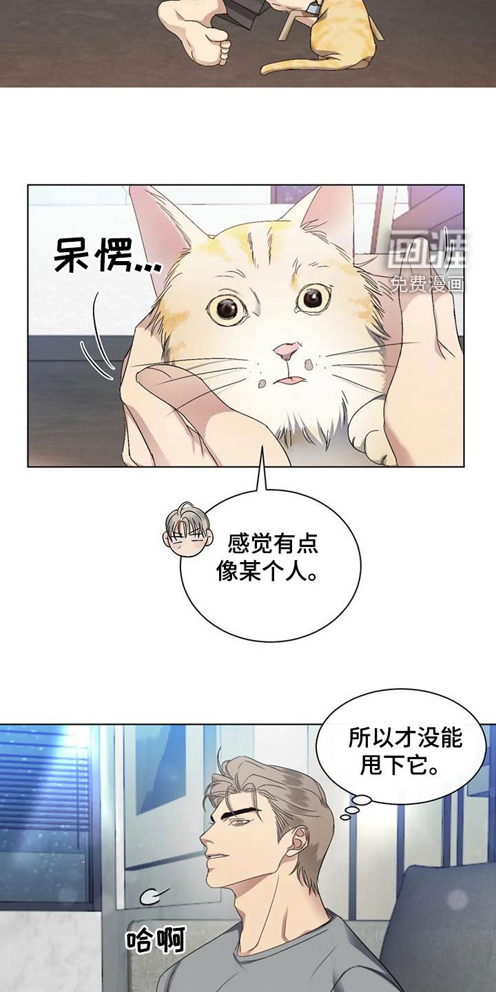 第48章：【第二季】分析