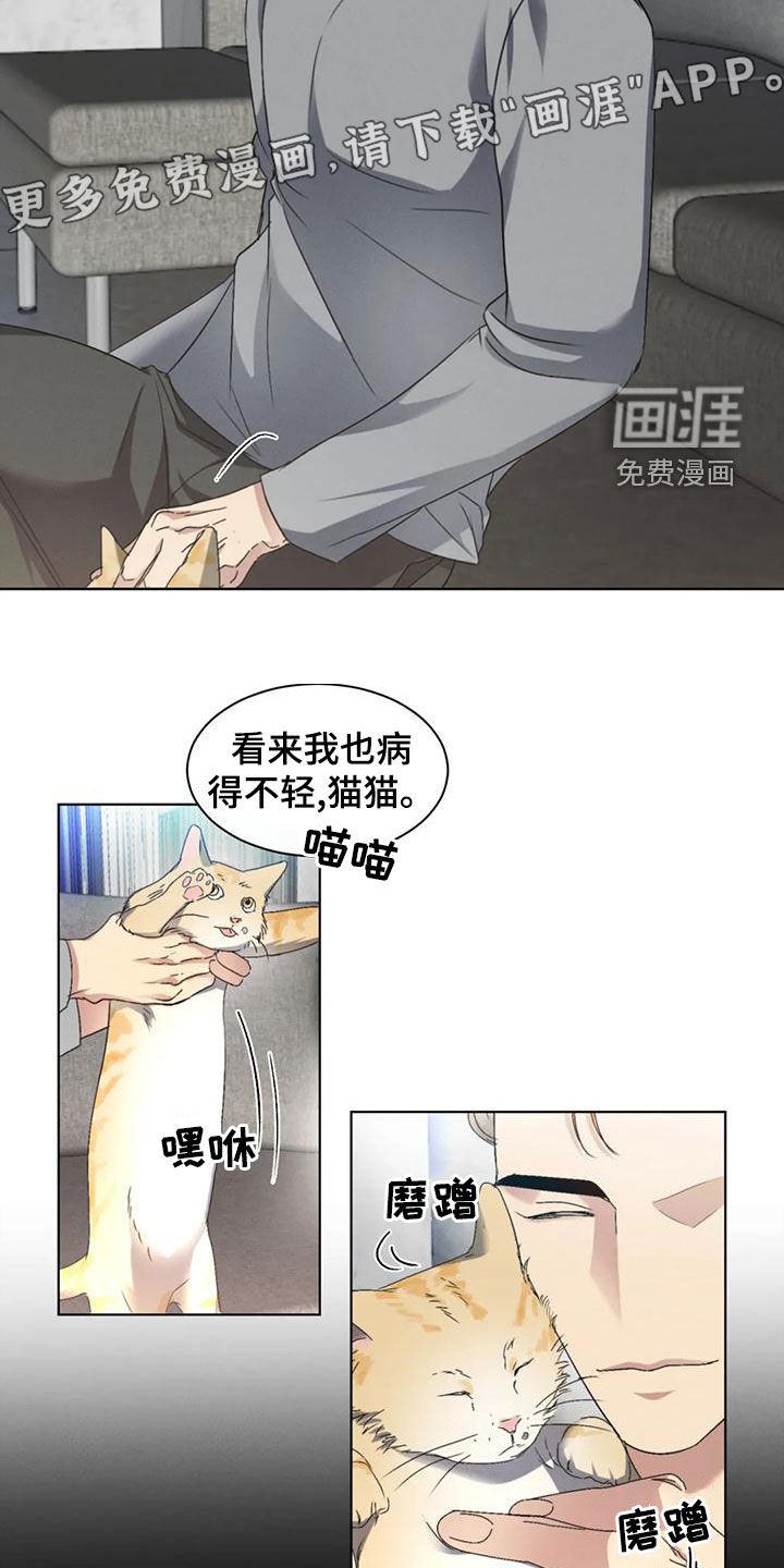 第48章：【第二季】分析
