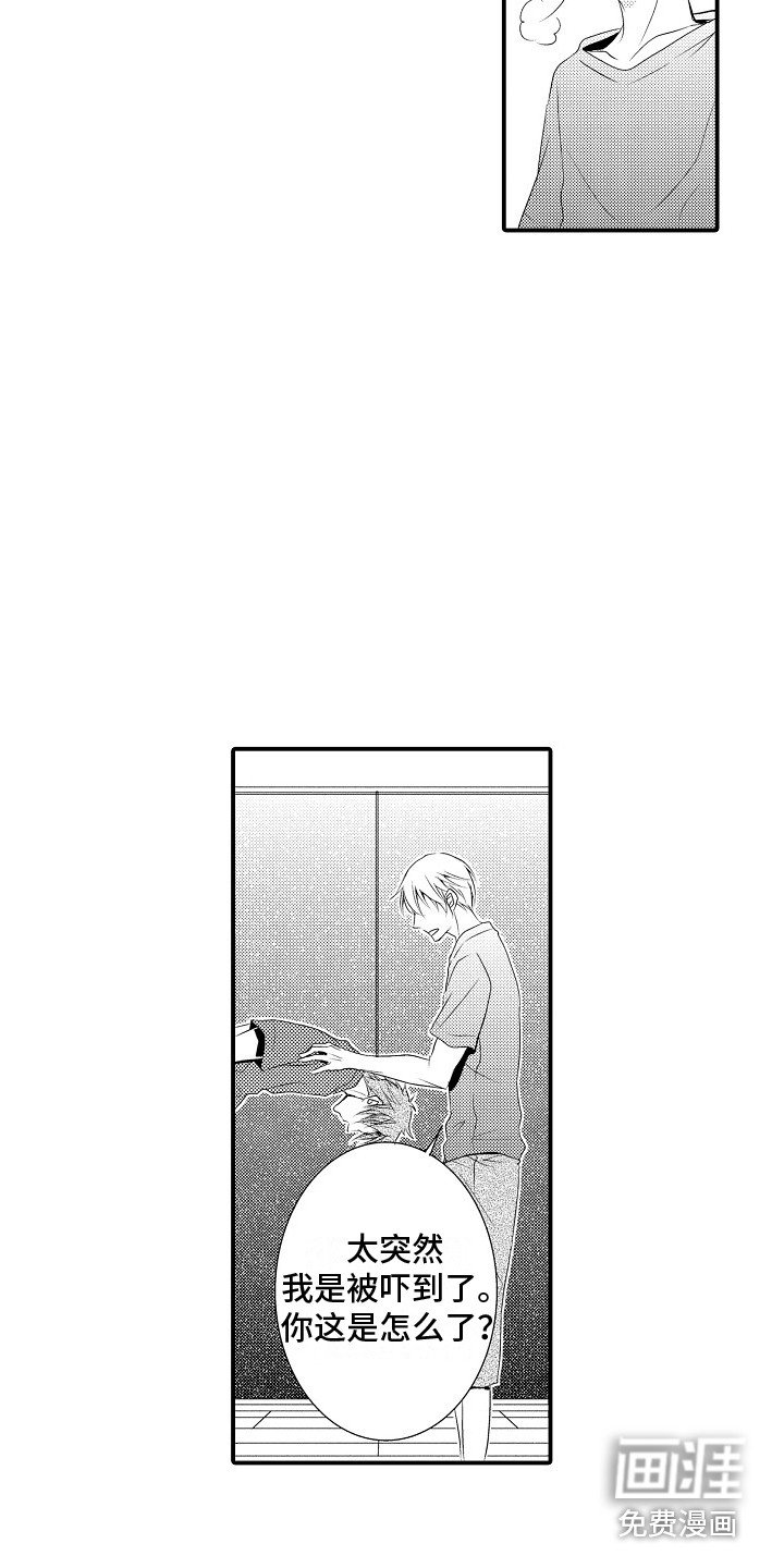 第21章：解释
