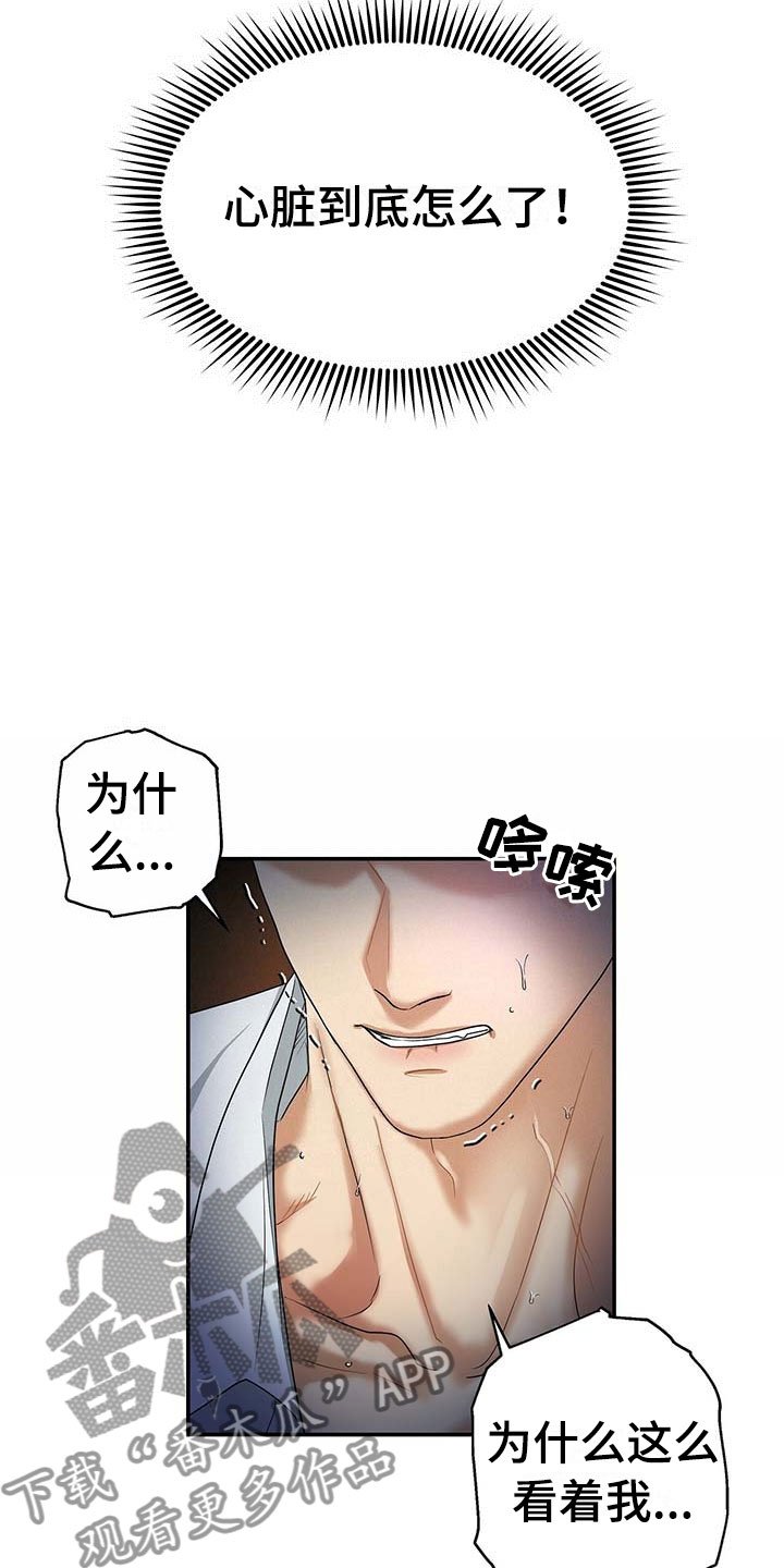 第16章：奇怪