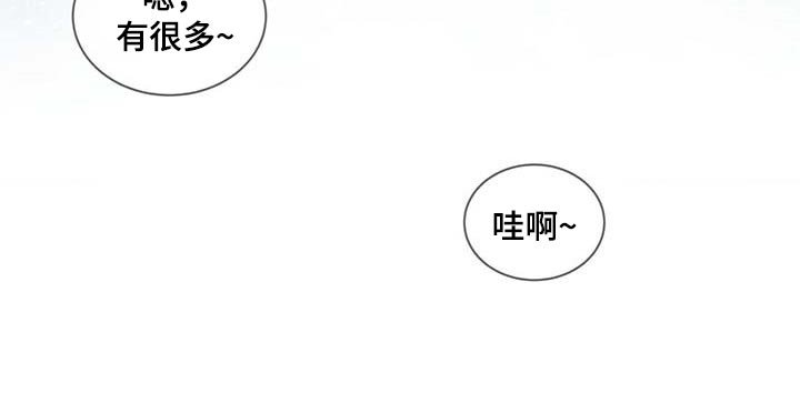 第19章：粉丝
