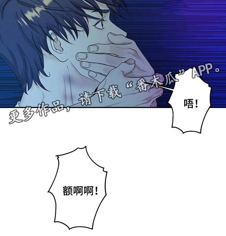 第29章：前辈