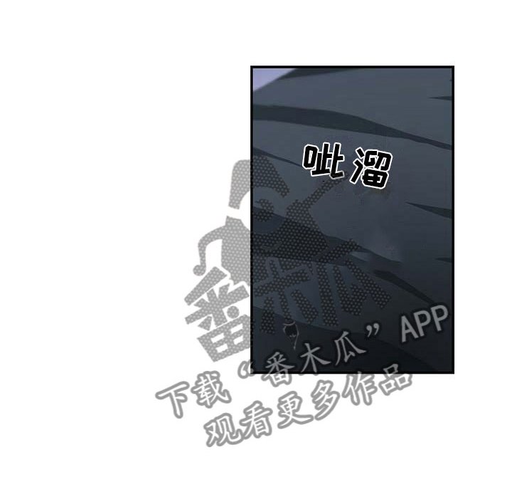 第4章：突变