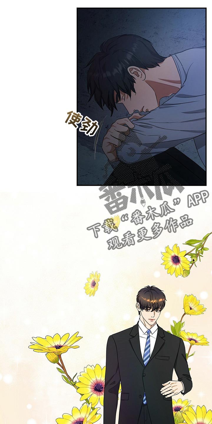 第44章：缓解
