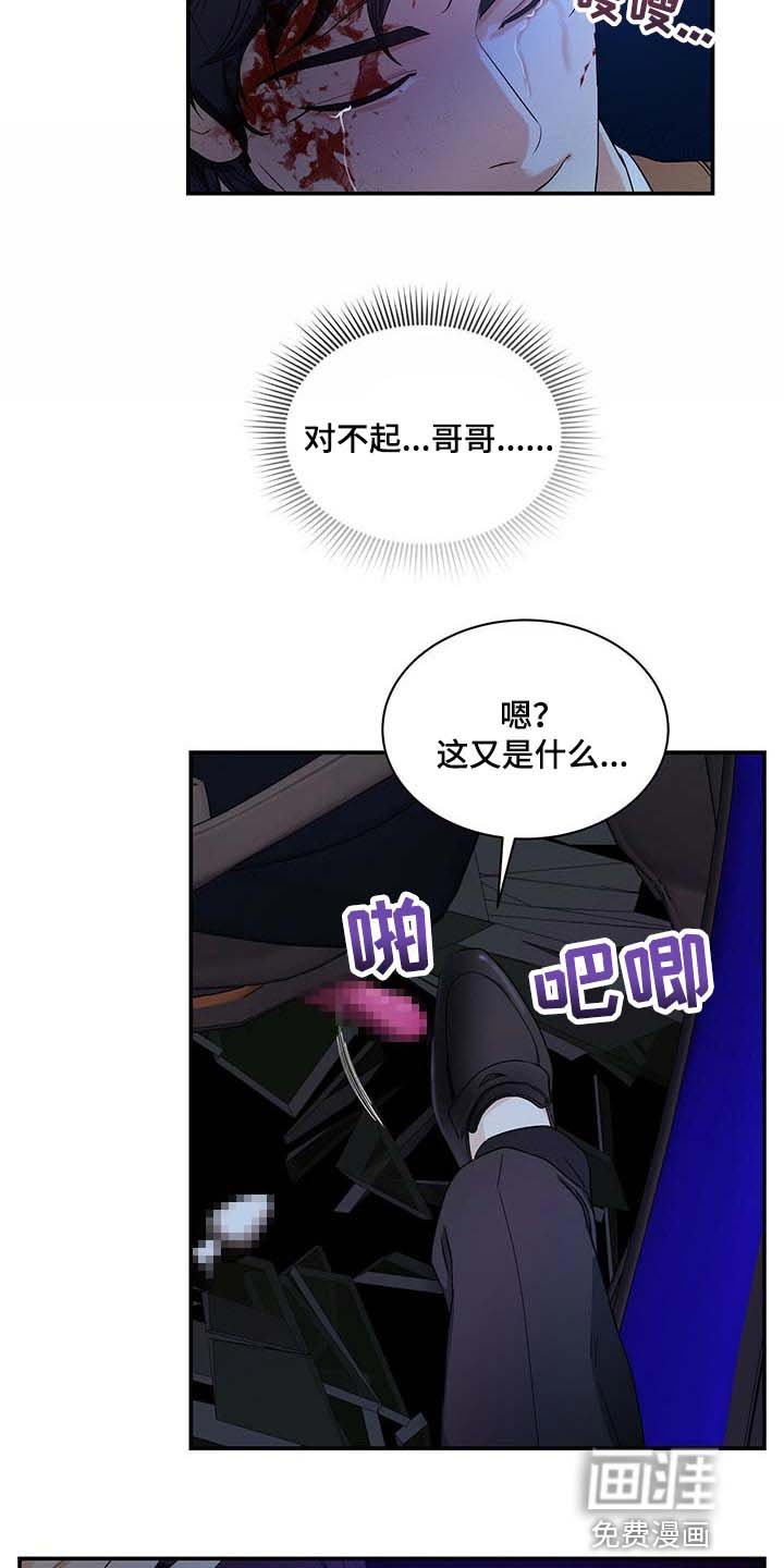 第47章：熟悉的车牌号