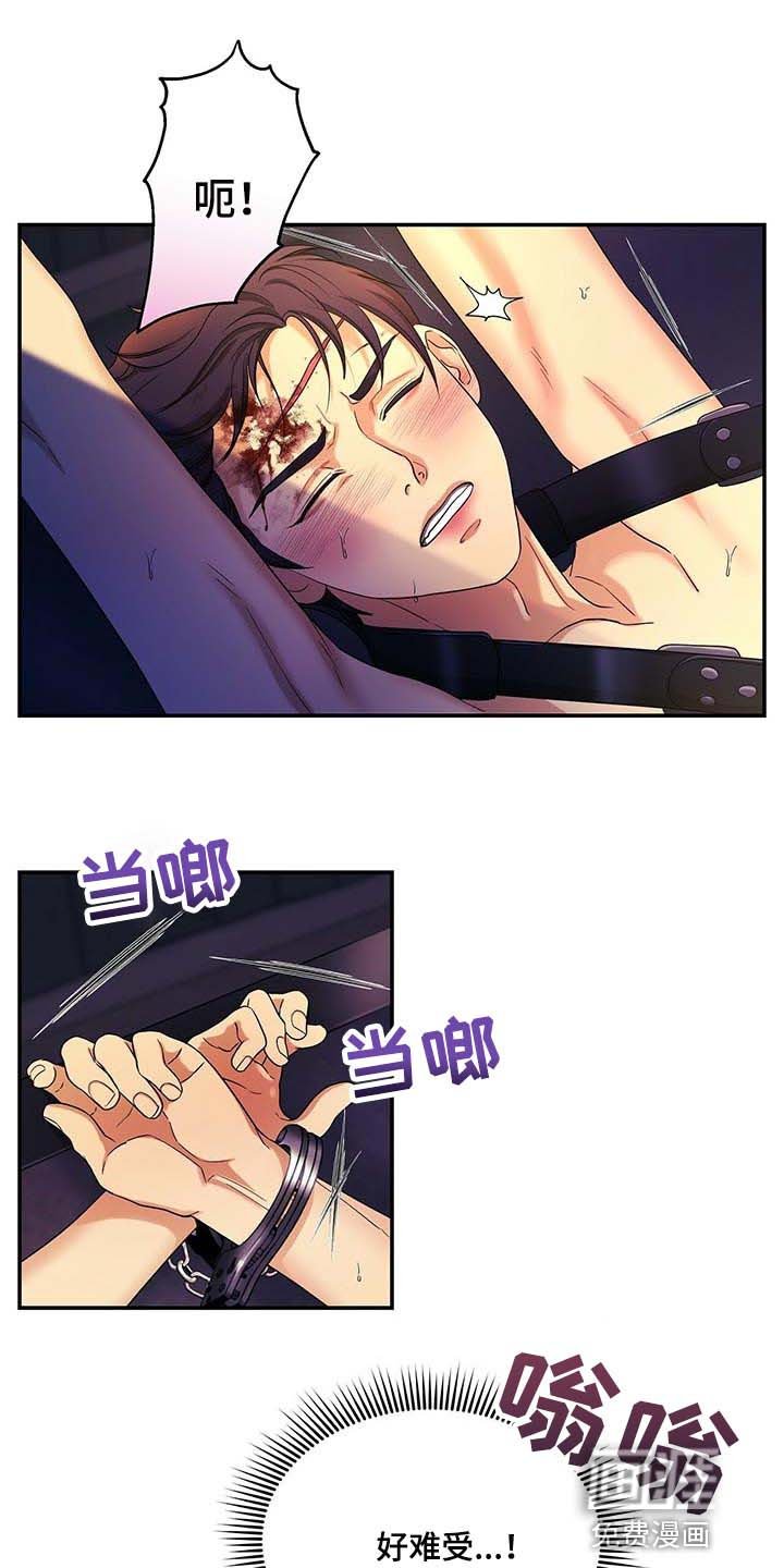 第48章：这才刚开始
