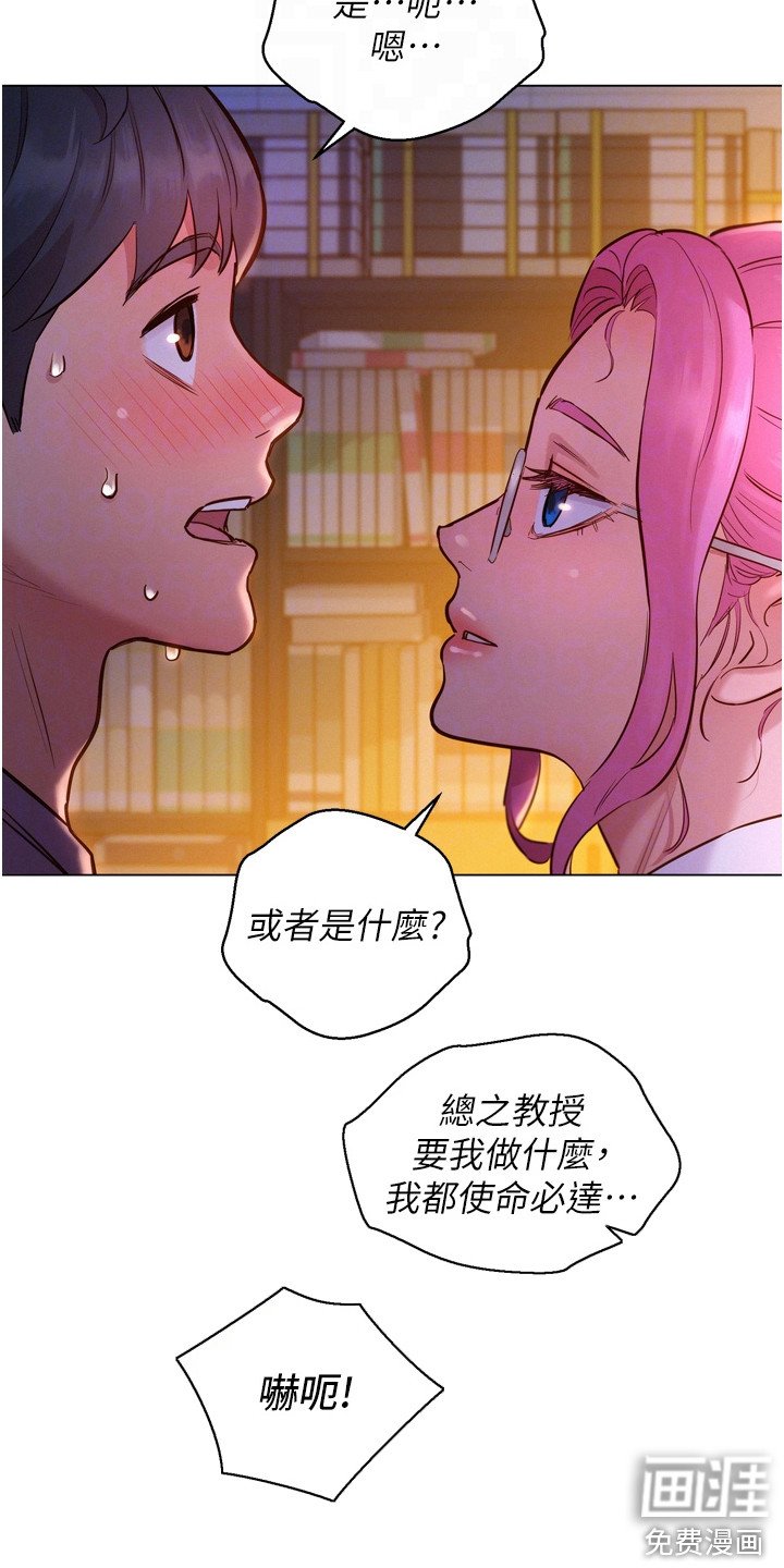 第13章：教授