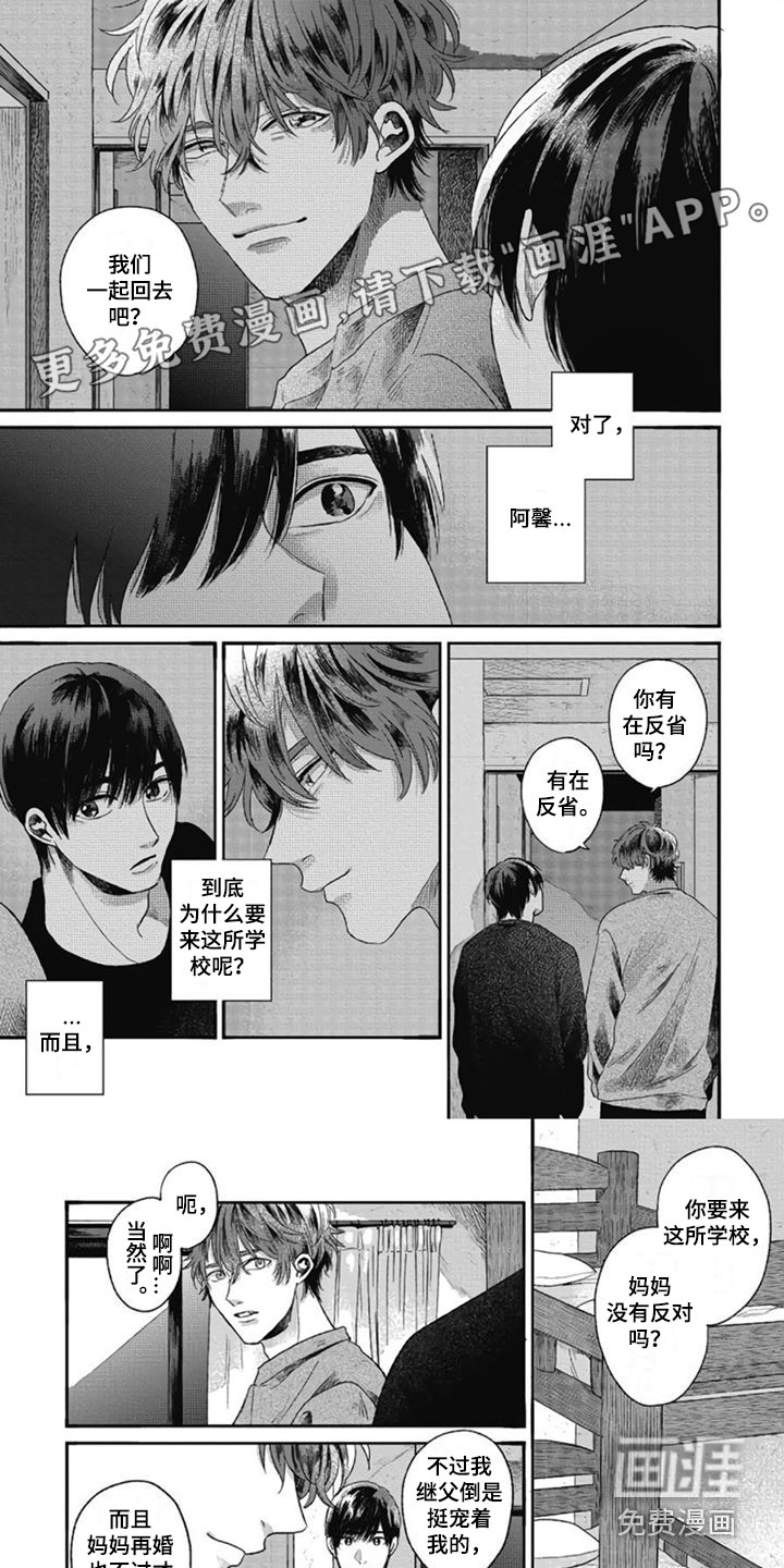 第11章：因为喜欢 