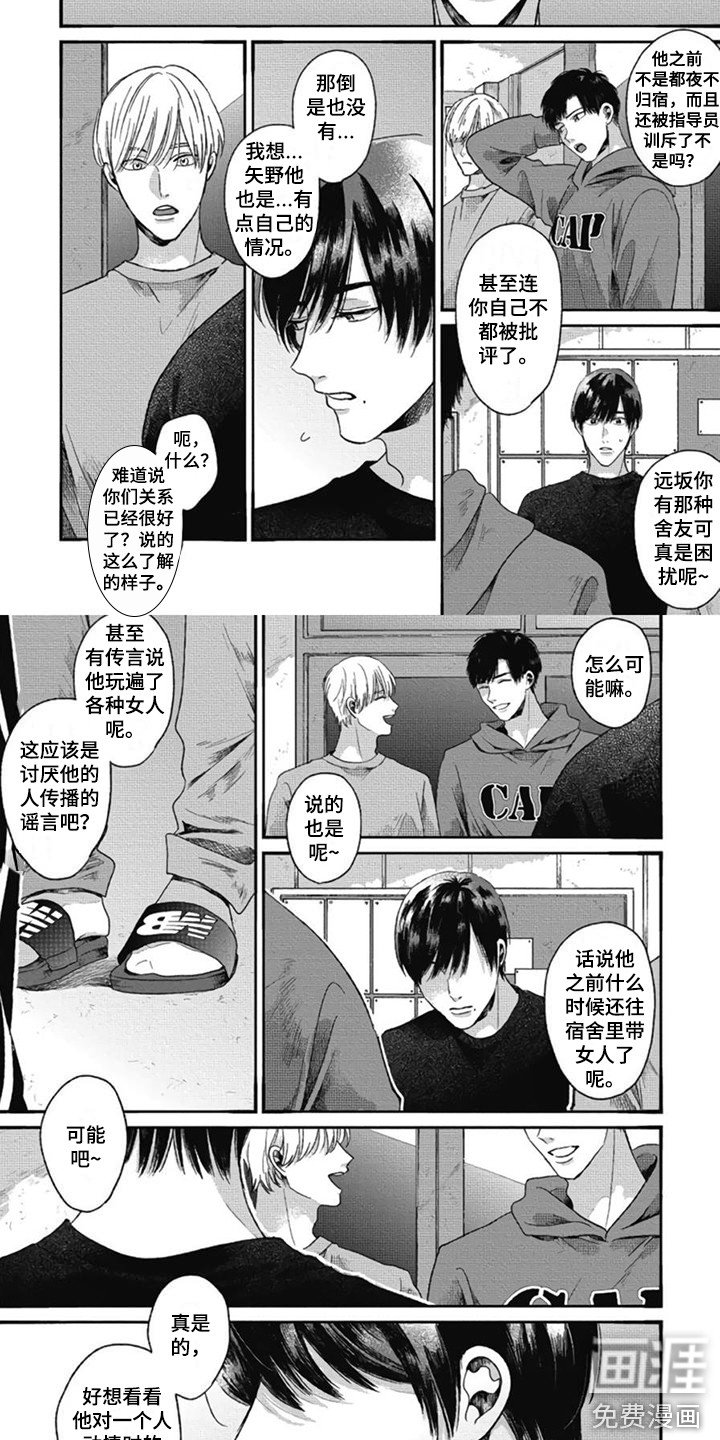 第20章：说三道四