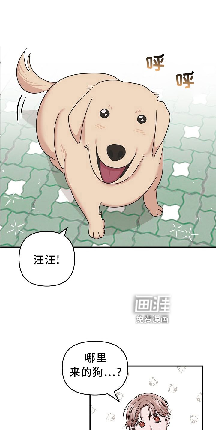 第15章：找寻