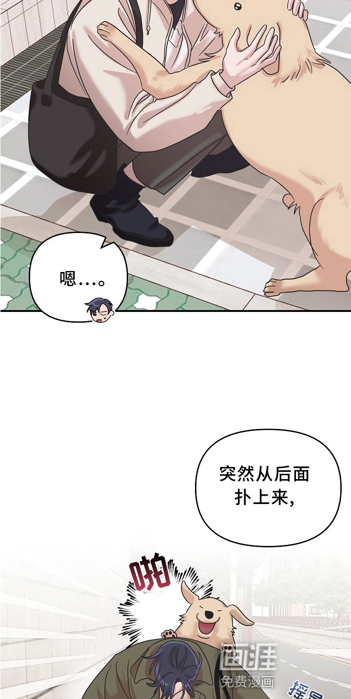 第15章：找寻