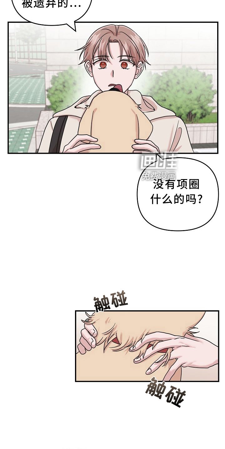 第15章：找寻