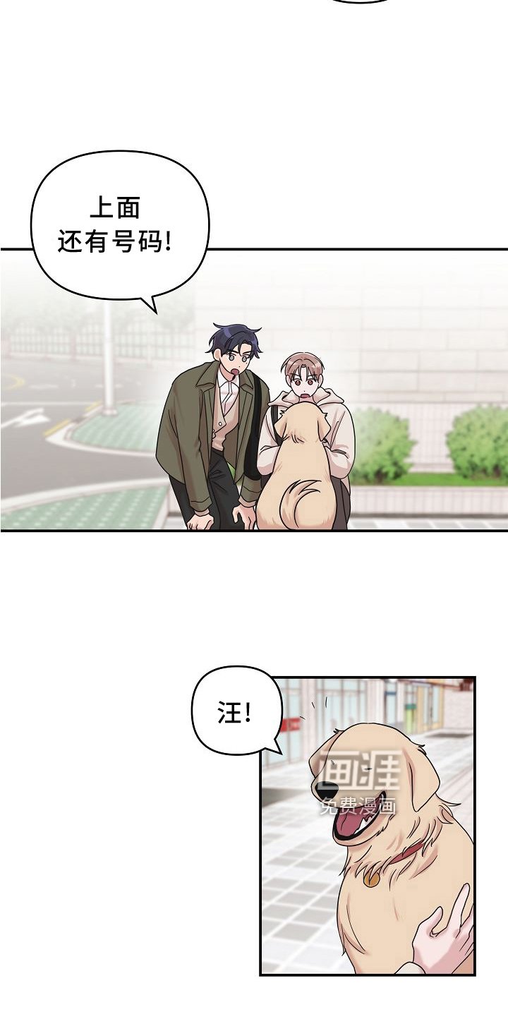 第15章：找寻