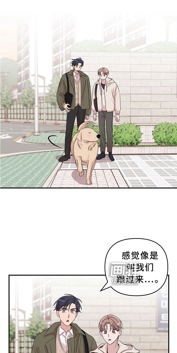 第15章：找寻