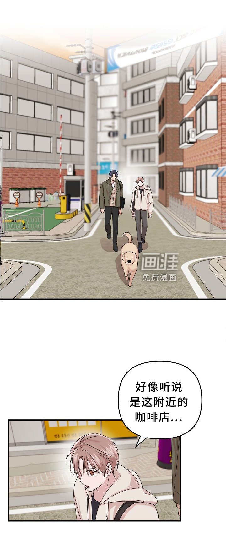 第16章：相似