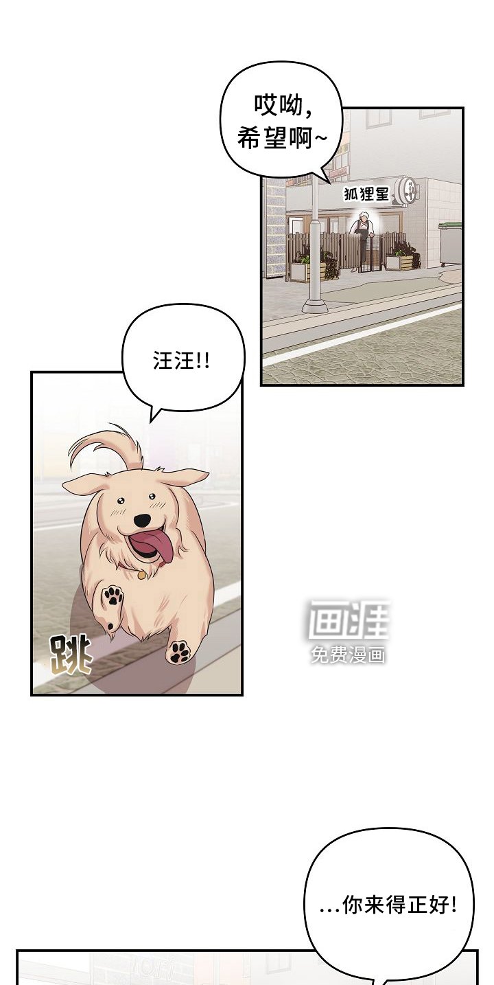 第16章：相似