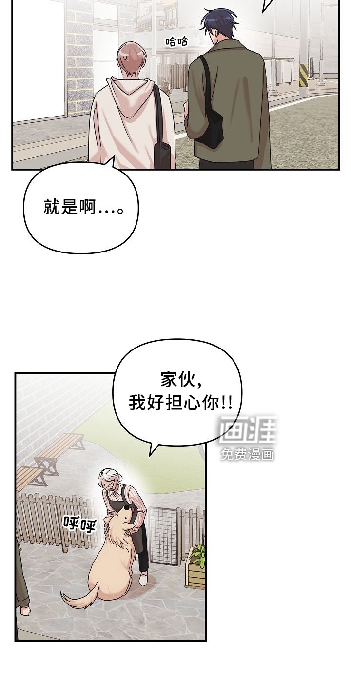 第16章：相似