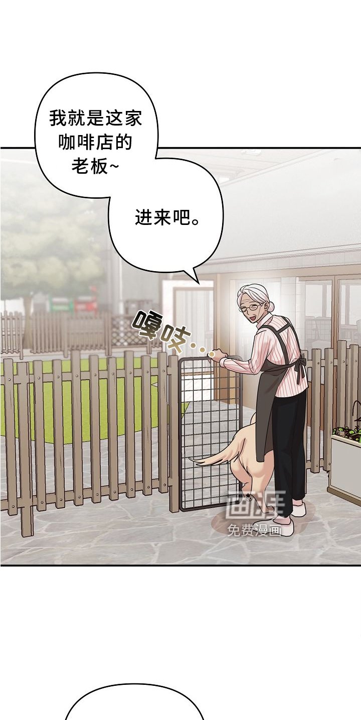 第16章：相似