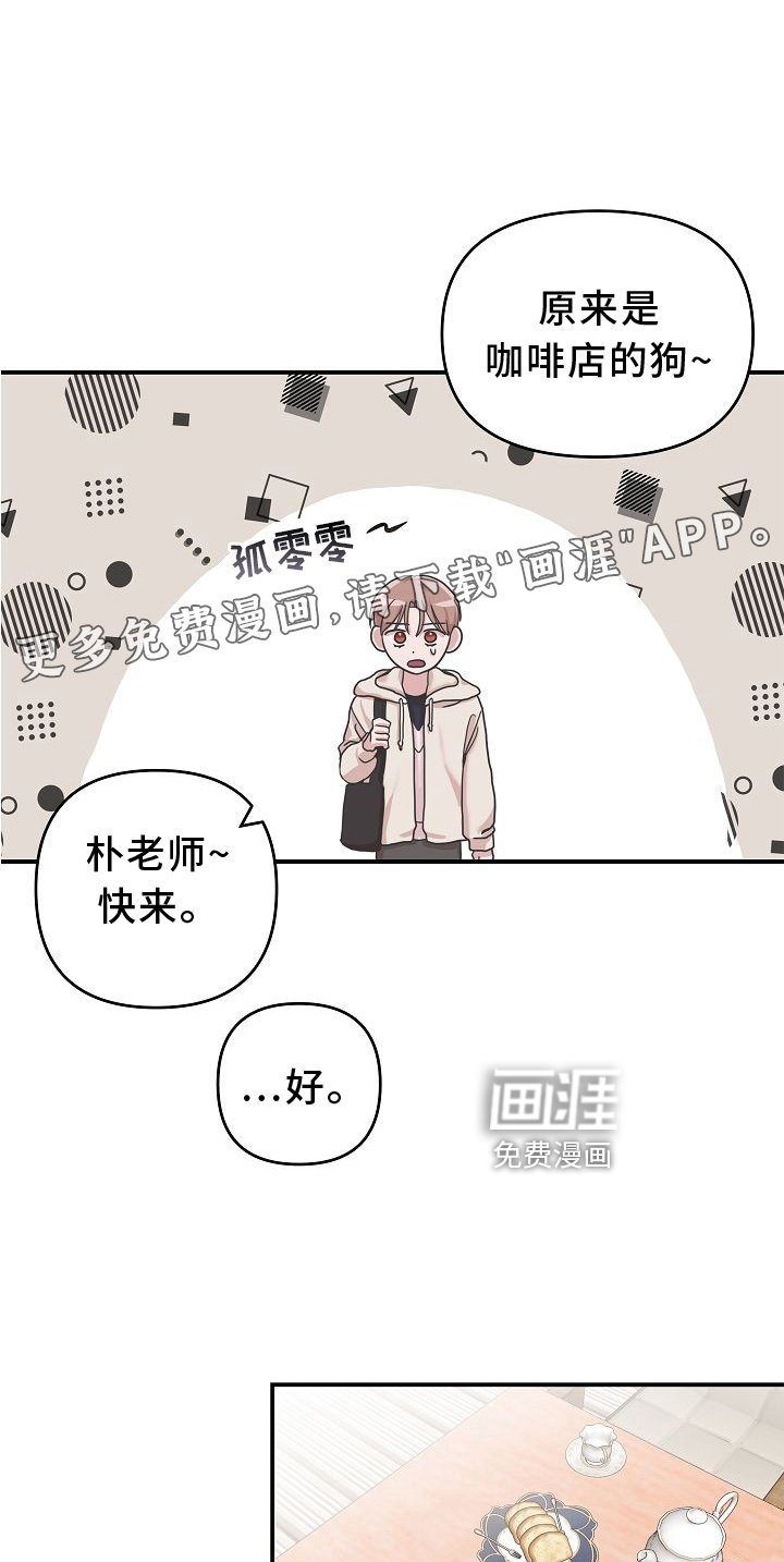 第16章：相似