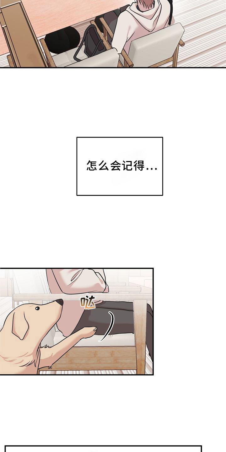 第17章：喜欢