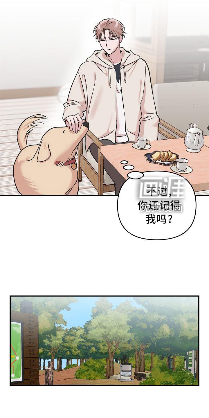 第17章：喜欢