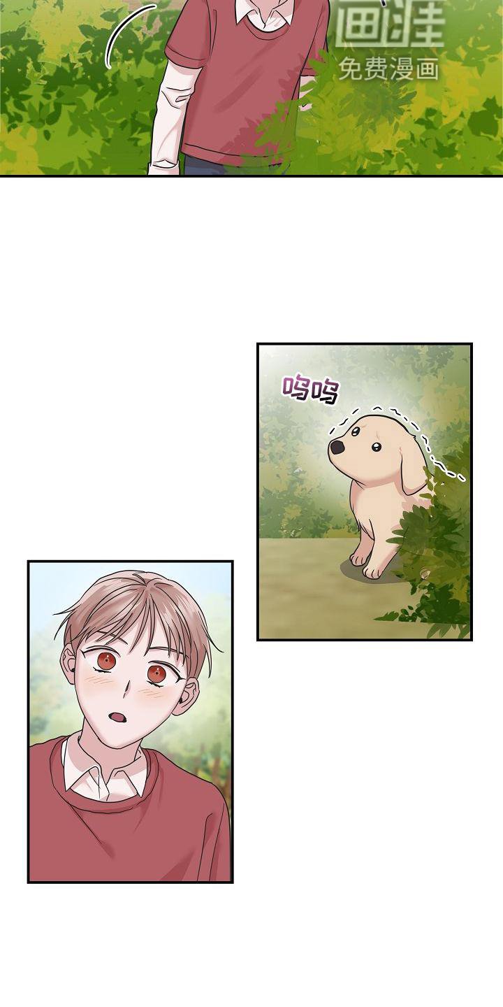 第17章：喜欢
