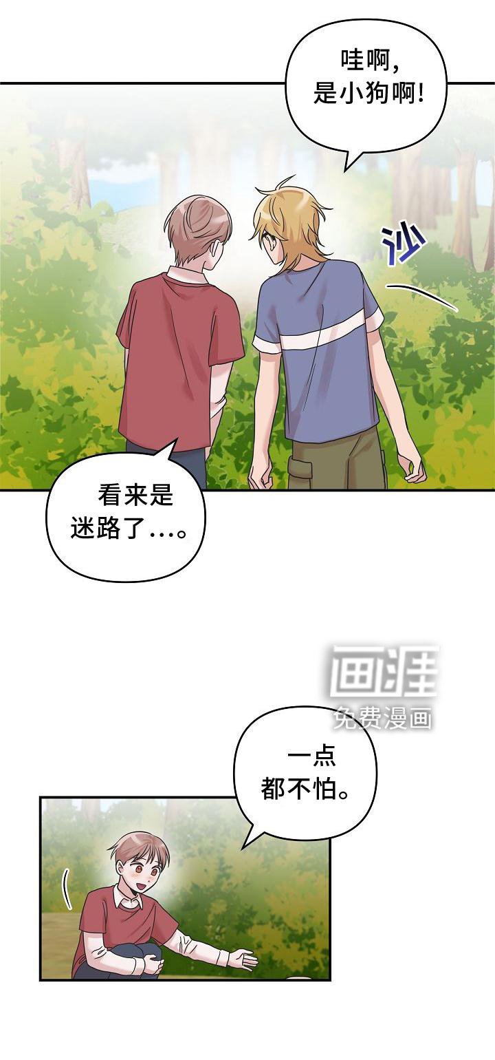 第17章：喜欢