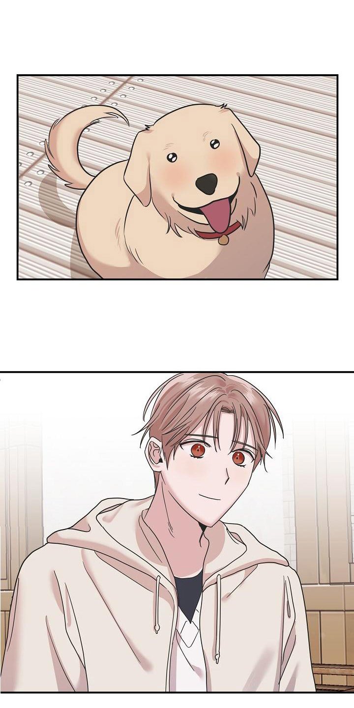 第17章：喜欢