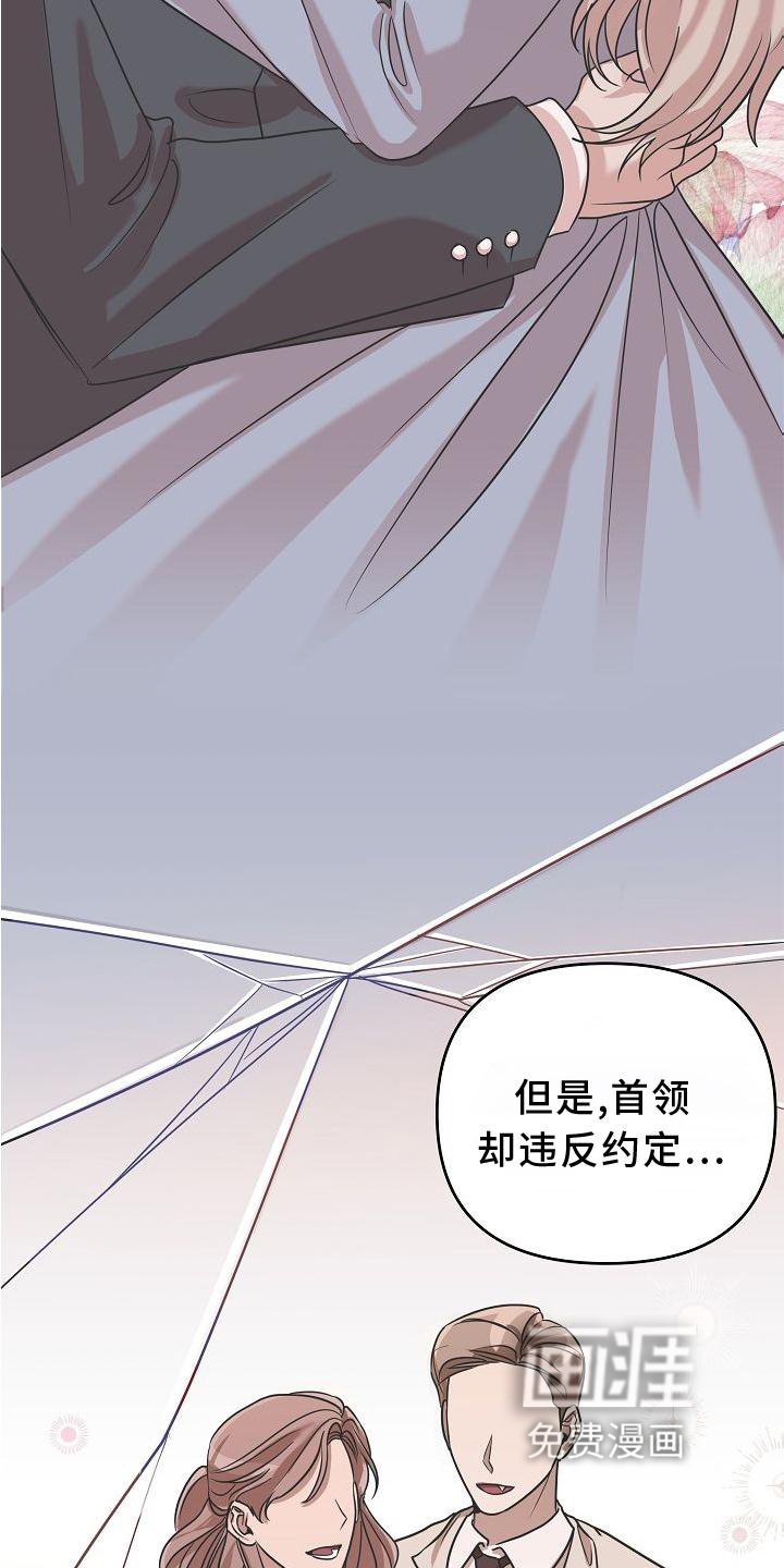 第19章：违背