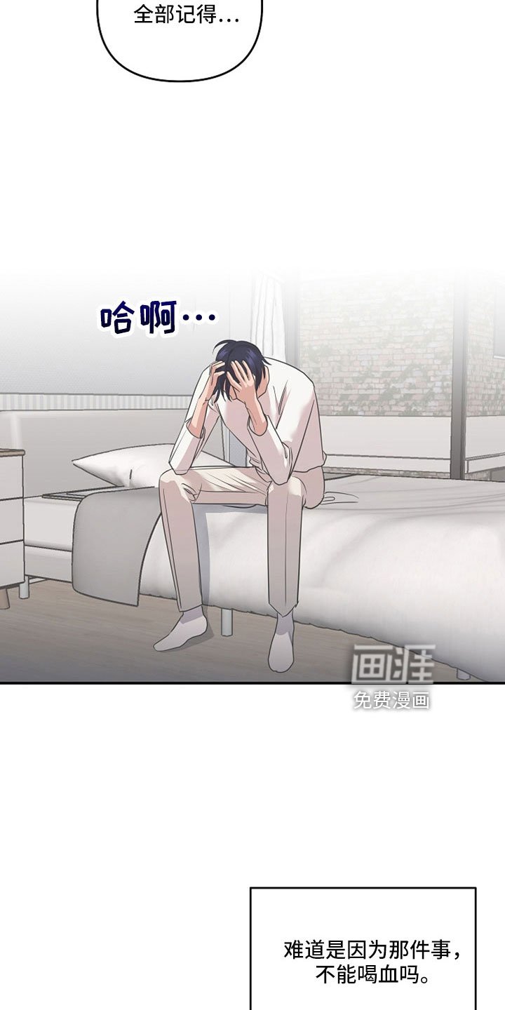 第33章：全部记得
