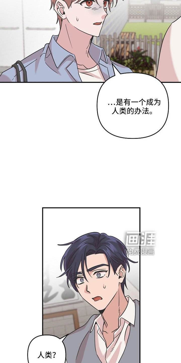 第36章：不想失去两次
